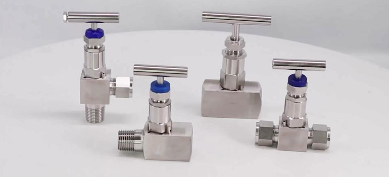 Vanne à pointeau en Inconel 601
