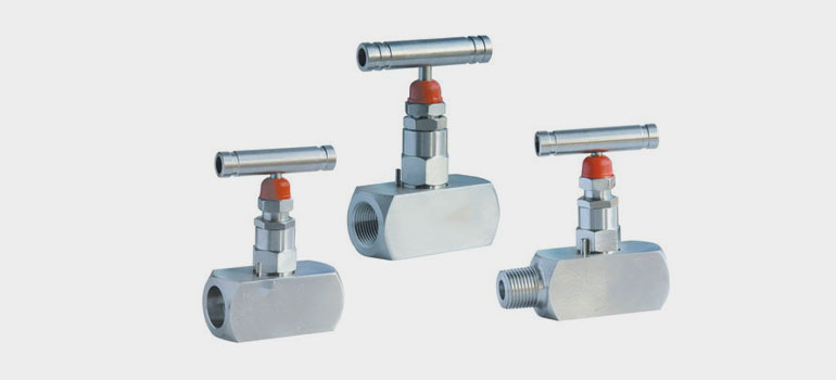 Vannes à pointeau en acier inoxydable 316L