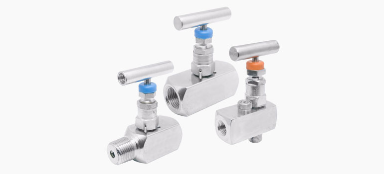 Vannes à pointeau en acier inoxydable 317L